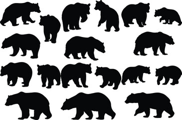 Set of bear silhouette vector illustration, bear in various pose