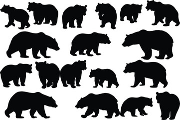 Set of bear silhouette vector illustration, bear in various pose