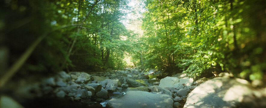 Panoramic stream flowing through a forest, Kaaterskill Falls, Catskill Mountains, Hunter, Greene County, New York State, USA.
