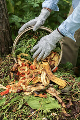 Obraz premium Compost heap pile with bio waste close up. Farmer with vegetables and fruits food scraps and grass in bucket for compost. Zero waste, composting concept