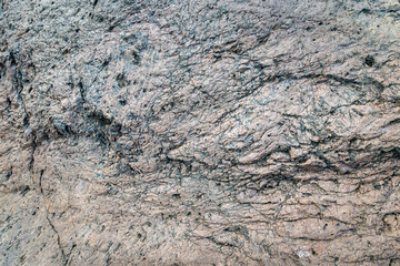 Close-up of volcanic rock surface revealing intricate textures and patterns