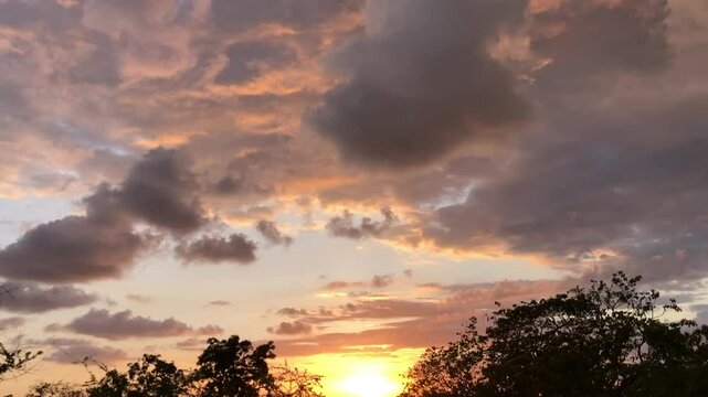 sunset in the field