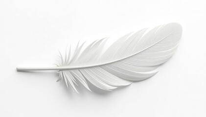 Obraz premium Isolated white feathers against pure white backdrop , bird, image, simple