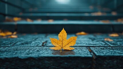 Autumn Leaf on Wet Stone Steps Surrounded by Misty Atmosphere and Fallen Leaves in Natural Setting