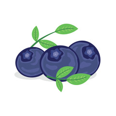 vectors of fresh blueberries with leaves