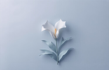 Fototapeta premium A singular, pure white flower rests on a monochromatic light blue background. The elegant bloom, with its delicate petals and stem, exudes a sense of stillness and serenity. Soft shadows add depth.