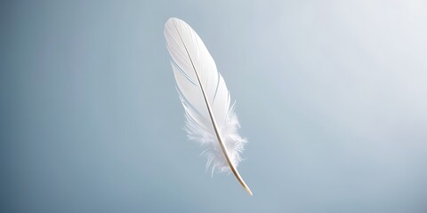 Obraz premium White feather floating gently in the air on a soft blue background, symbolizing peace, purity, and lightness in a minimalistic and serene visual concept