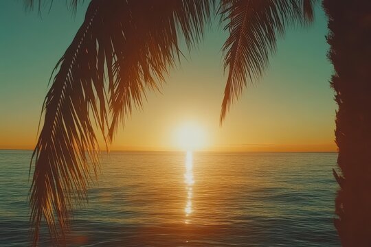 Tropical sunset over tranquil ocean waters, framed by palm fronds.