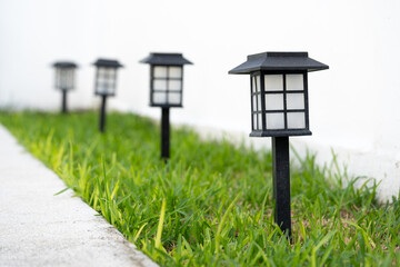 Luces solares de jardín en fila sobre pasto verde