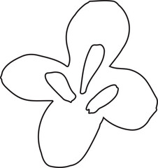 Abstract Flower Minimalist Line Art Hand Drawn