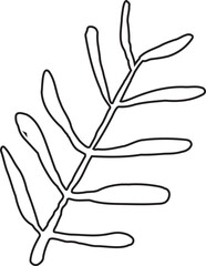 Abstract Leaf Minimalist Line Art Hand Drawn
