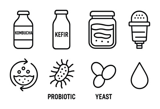 Fermentation outline icons set &ndash; linear style probiotic, culture, and healthy living symbols: kombucha, kefir, jar, filter, bacteria, yeast, water drop