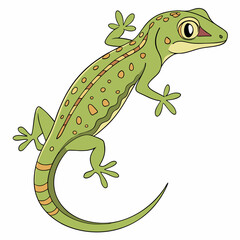 green lizard isolated on white