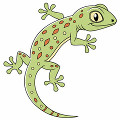 green lizard on white background