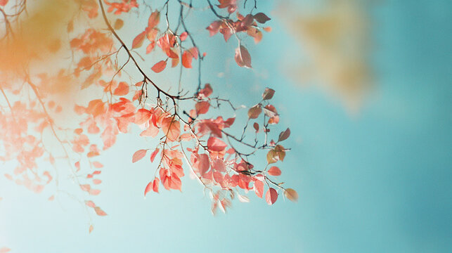 Delicate Rose Branch on Soft Blue Background &ndash; Perfect Pastel Design for Text Overlays