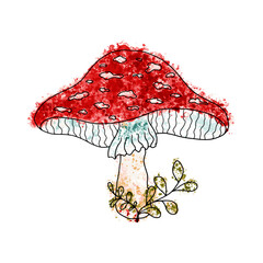 Hand drawn picture of fly agaric fungi. Botanical forest illustration for design, print, fabric. Sketch doodle drawing of magic poisonous mushrooms with colorful watercolor stains.
