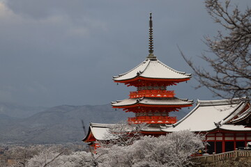 Obraz premium 雪の京都 清水寺