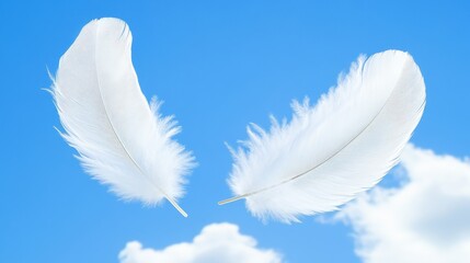 Obraz premium Two white feathers floating gently in a cerulean sky.