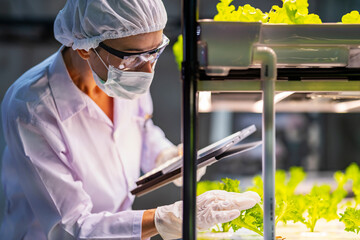 A scientist in a mask, goggles, and hairnet closely examines green plants in a lab setting. The...