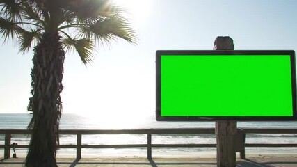 Cycling Along Sunny Beachfront with Palm Tree and Green Screen Billboard Motion
