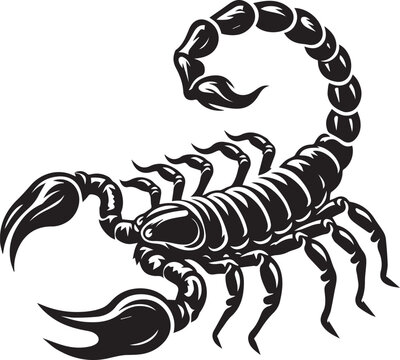 scorpion tattoo vector, scorpion logo silhouette vector