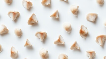 Delicate, light beige mushrooms arranged in a symmetrical pattern on a white background