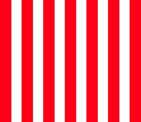Fototapeta premium Stripe pattern lines light red white background. Red and white stripes pattern.
