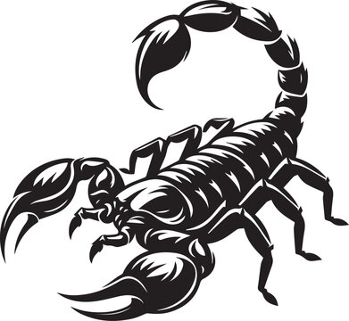 scorpion tattoo vector, scorpion logo silhouette vector
