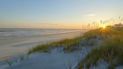 Tranquil beach sunrise with golden sunburst through sea oats on sand dunes, waves rolling onto empty shoreline, soft morning light creates peaceful coastal atmosphere.