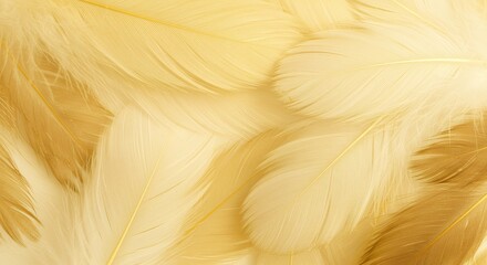 Aesthetically pleasing non representational pale colored brown colored decorative elements pale soft yellow colored decorative element texture pale colored pattern yellow colored featuring