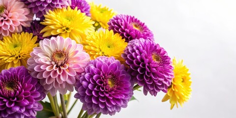 Obraz premium Colorful bouquet of purple and yellow chrysanthemums on a white background, purple flowers