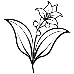 lily of the valley flower line art vector isolated on white background
