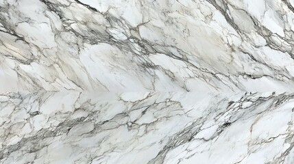 Obraz premium Elegant white and gray marble texture