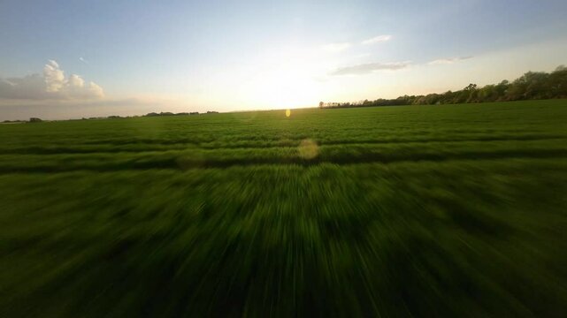 nature fast flay drone fpv drone shot