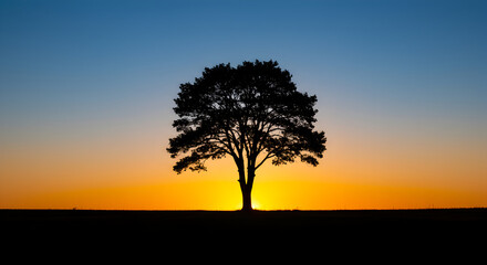 Fototapeta premium Silhouette Of A Tree Against Dramatic Sunset Sky In Golden Hour