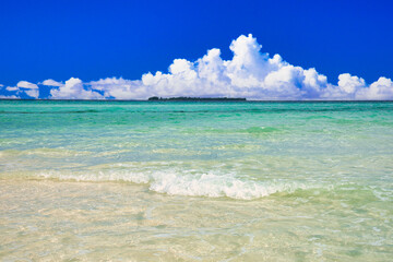 パラオの美しいサンゴ礁の海