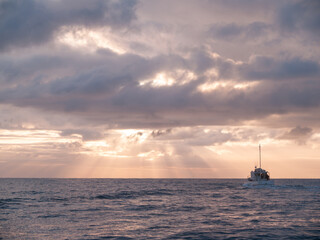 Warm colour of overcast sky at sunrise