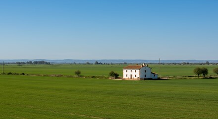 Capture essence peaceful rural life landscape photograph featuring solitary serene white farmhouse nestled amidst expansive lush green fields under clear blue sky located  