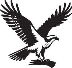 Obraz premium eagle on a white background vector, eagle logo silhouette vector