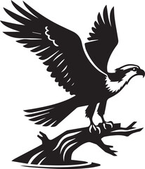 Obraz premium eagle on a white background vector, eagle logo silhouette vector