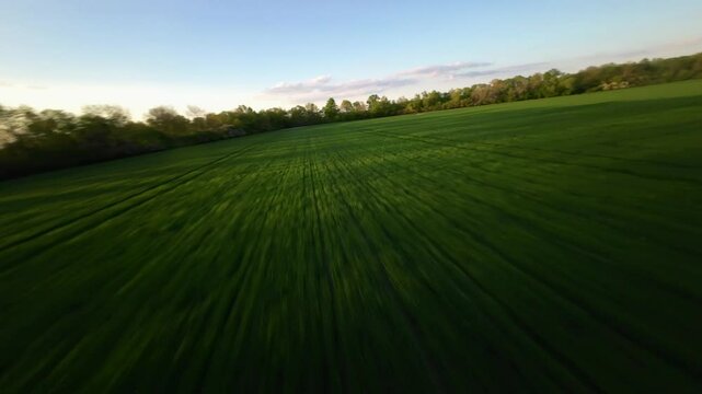 nature fast flay drone fpv drone shot