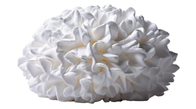 Ethereal Cloud Bloom: Captivating shot of a soft, cloud-like formation. The intricate folds and textures create a sense of delicate beauty. The image exudes purity and serenity.