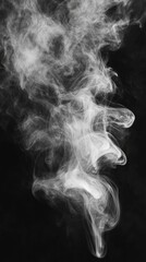 A wispy plume of smoke gracefully swirls against a deep black background, creating an ethereal contrast. The delicate tendrils of gray and white dance in the air, evoking a sense of mystery.