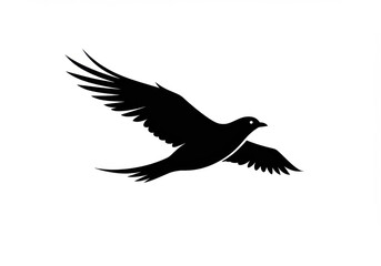 Obraz premium Silhouette of a bird in flight