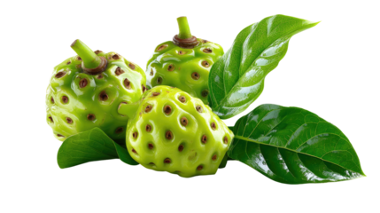 Noni Fruit Close-Up: Freshly harvested noni fruits and leaves are artfully arranged, displaying their distinct green texture and intriguing shape, embodying tropical freshness and natural health.