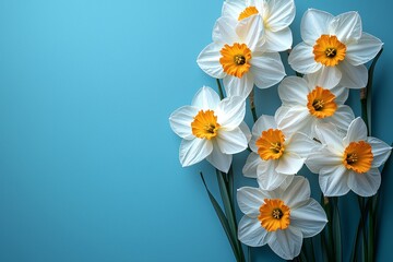 
Minimalist design with white daffodil border on blue background, perfect for business cards, event banners, and social media templates.