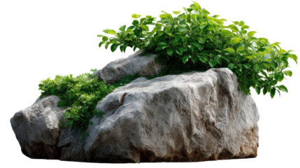 Rock garden beauty: A stunning collection of lush green foliage and stone that blends harmoniously, offering a serene and captivating moment. 