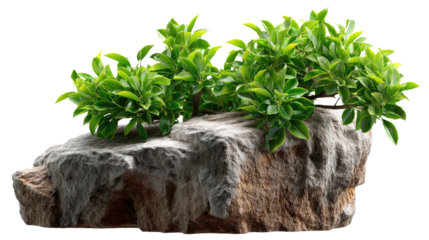 Artificial Bonsai on Rock: A vibrant artificial bonsai plant thrives atop a realistic rock formation, creating a miniature landscape ideal for home decor or aquarium enhancement. 