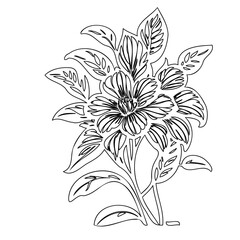 Detailed floral illustration displaying botanical precision and artistic expression