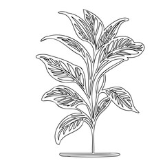Minimalist plant illustration emphasizing delicate leaf structure against white background
